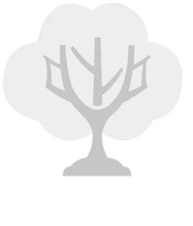 Partnership con Treeonfy